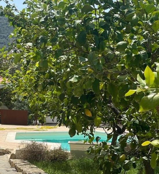 Sa Murta Bianca Guesthouse بودوني المظهر الخارجي الصورة