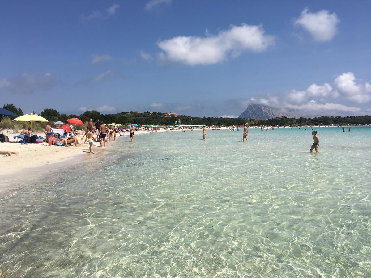 Sa Murta Bianca Guesthouse بودوني المظهر الخارجي الصورة